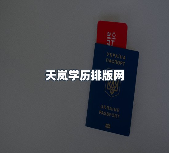 关于天岚学历排版网